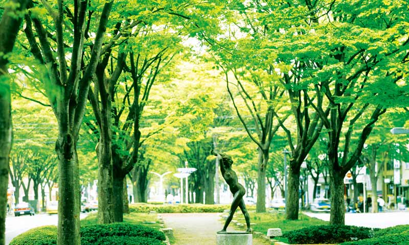 コンセプト - 杜の都 仙台 -